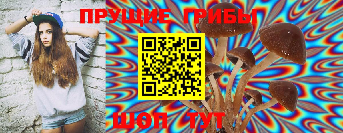 Сухой Лог  купить наркоту  Вход с VPN  Галлюциногенные грибы MAGIC MUSHROOMS 